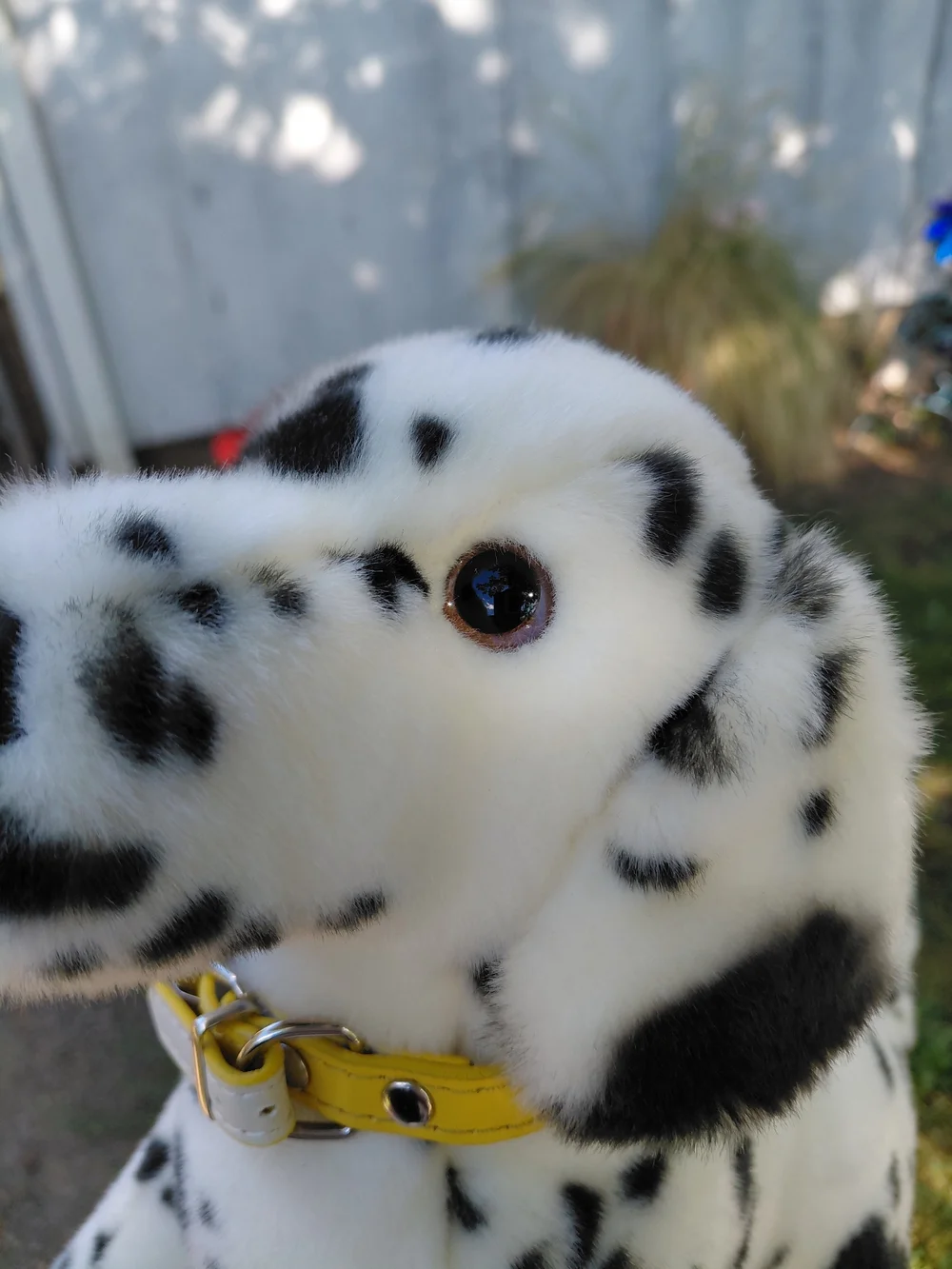 Plush Dalmatian Dog Douglas With Tags